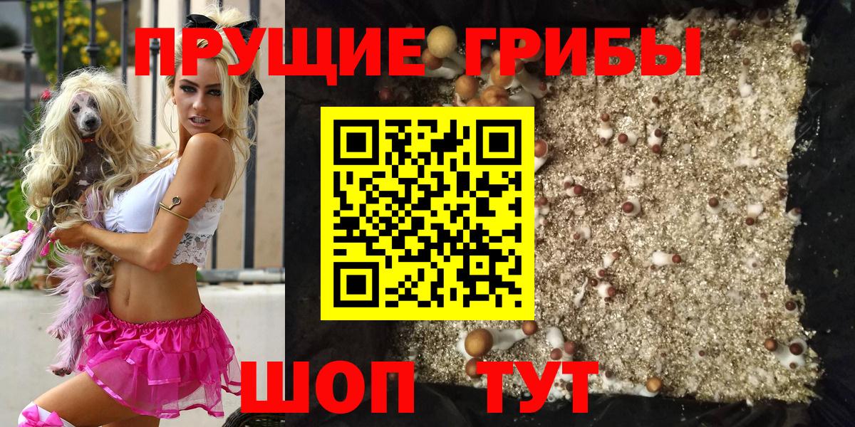 Фрязино  Галлюциногенные грибы MAGIC MUSHROOMS  Псилоцибиновые грибы прущие грибы  Вход с VPN 